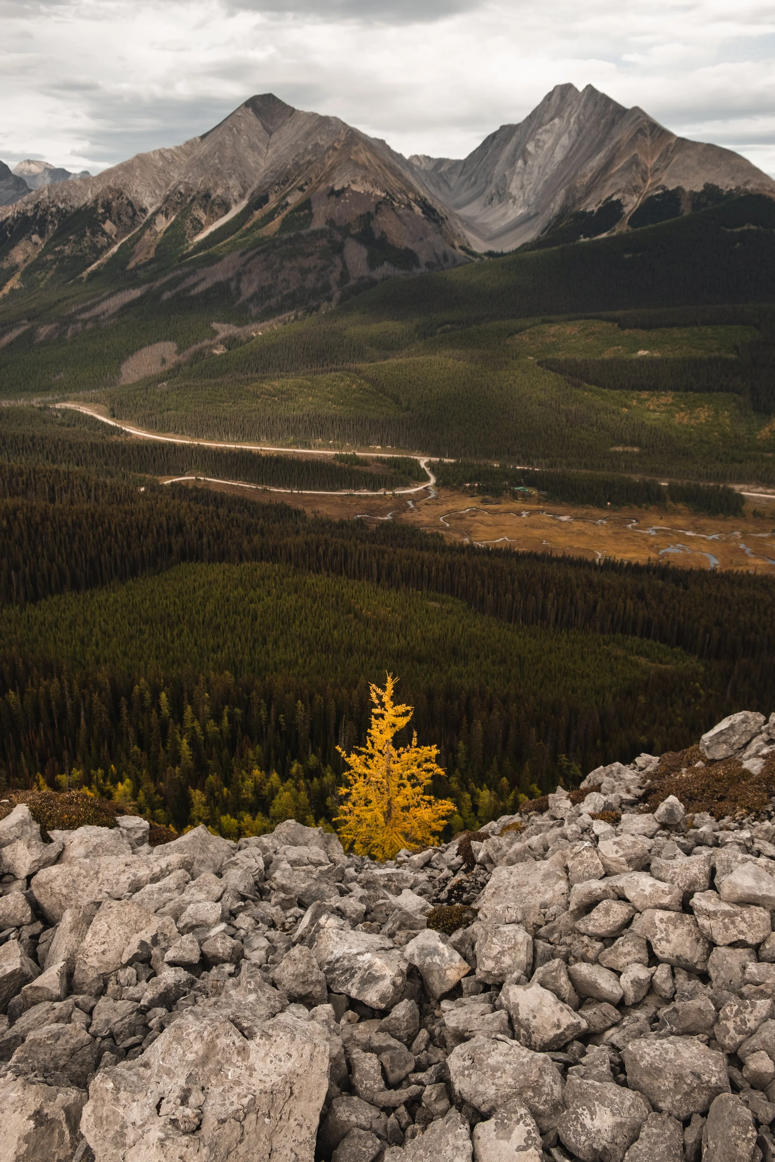 Tent Ridge Fall canmore pt. 2 tent ridge — Moments of Wild