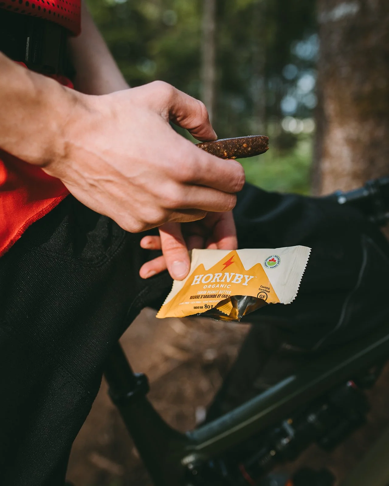 HORNBY ORGANIC — Moments of Wild