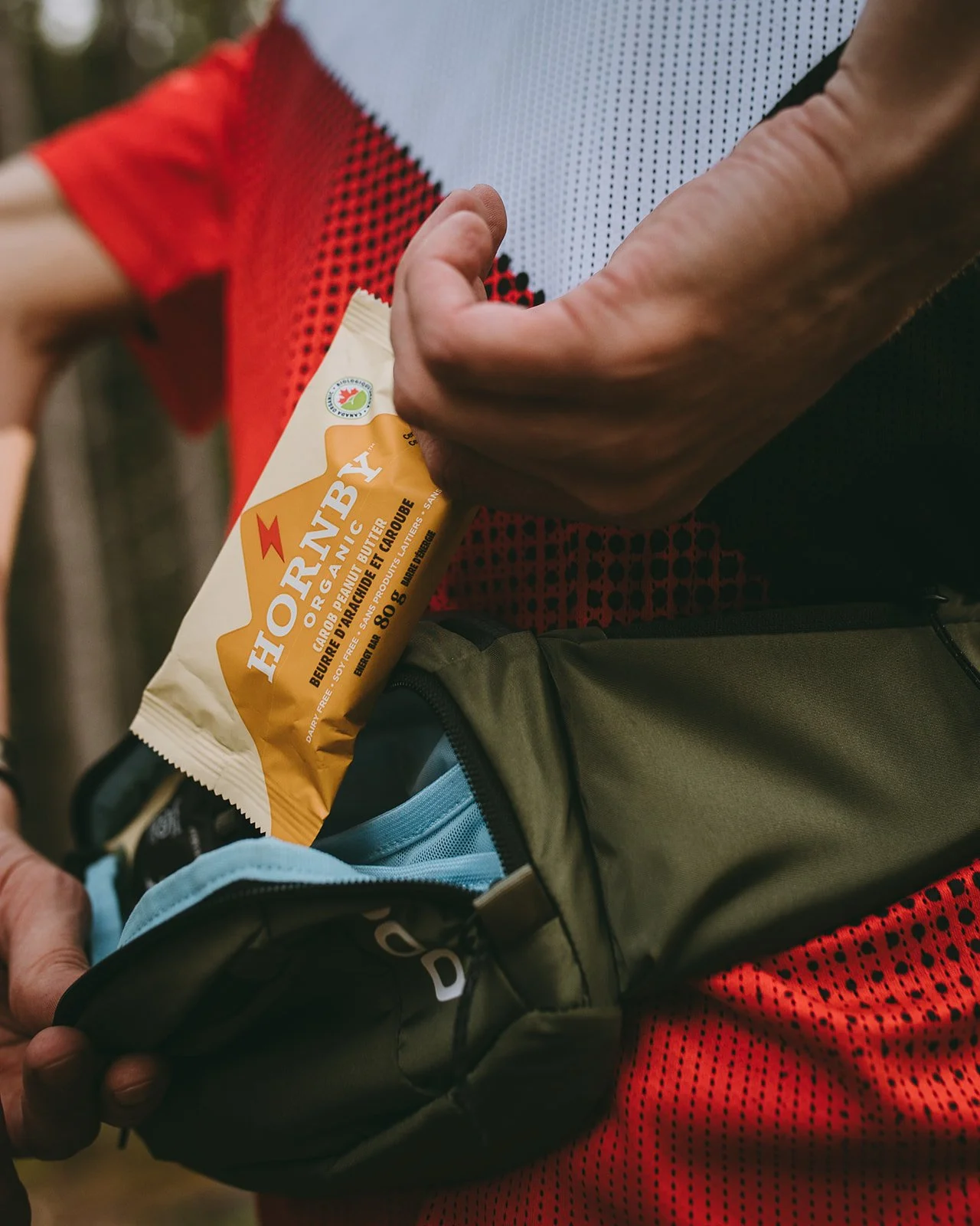 HORNBY ORGANIC — Moments of Wild