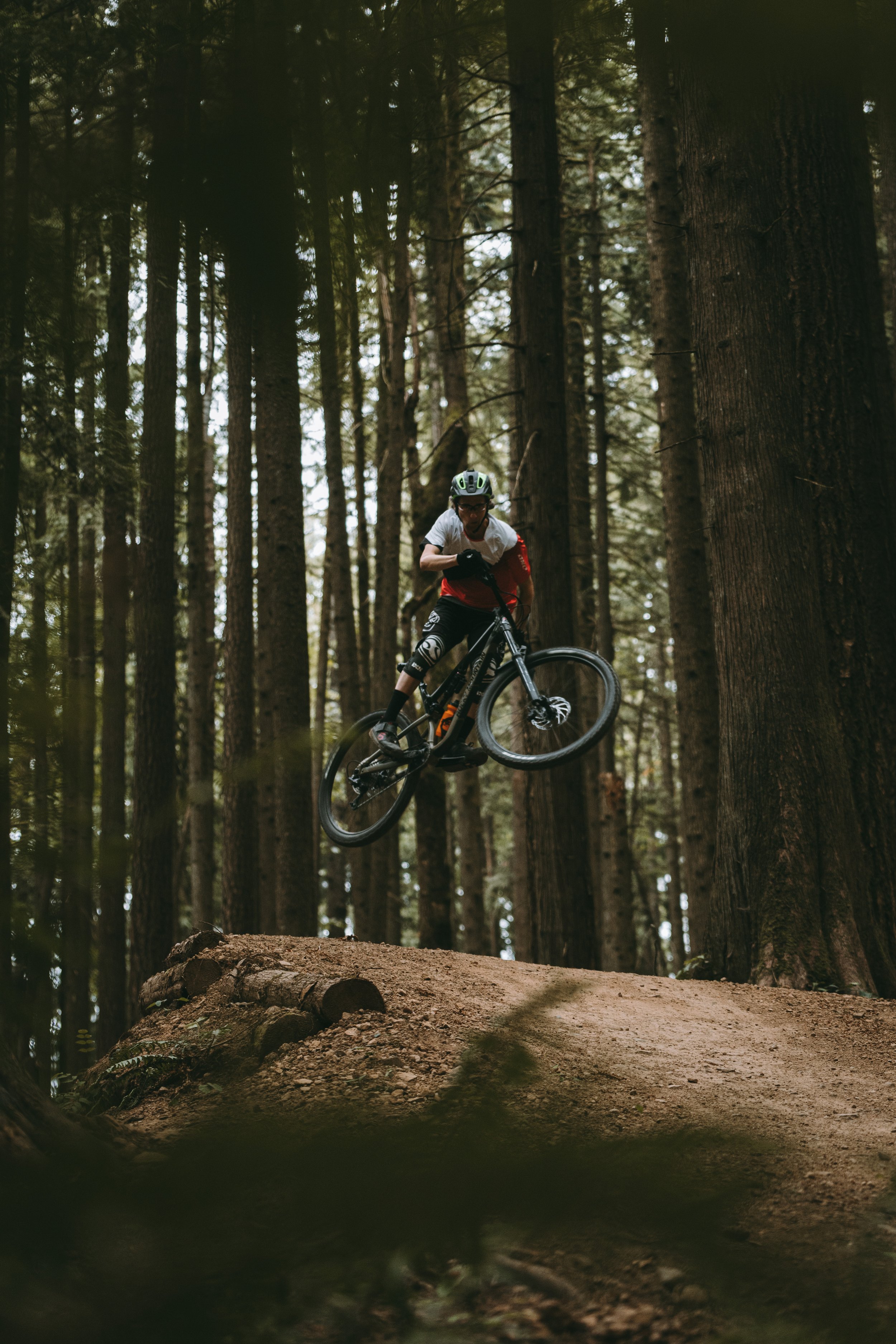 A MOUNTAIN BIKE DAY — Moments of Wild