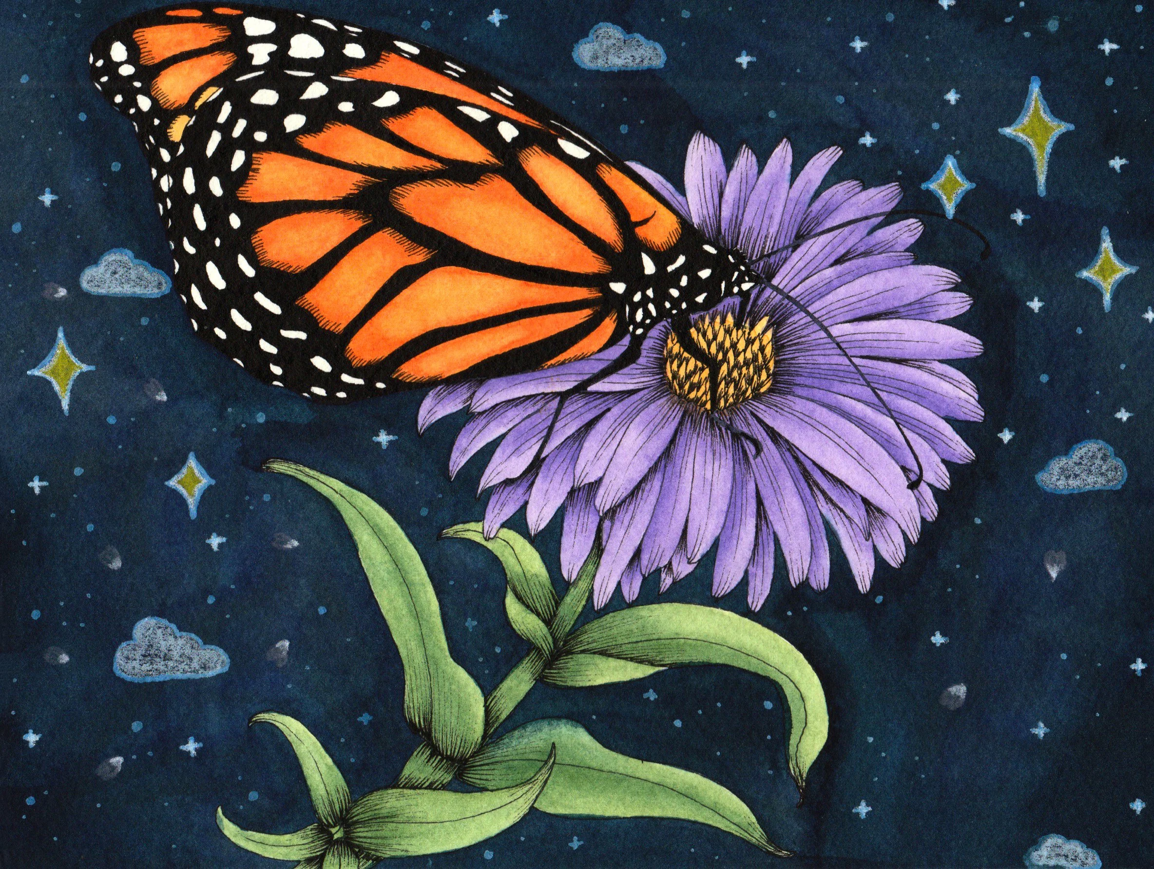 BUTTERFLY AND FLOWER.jpg