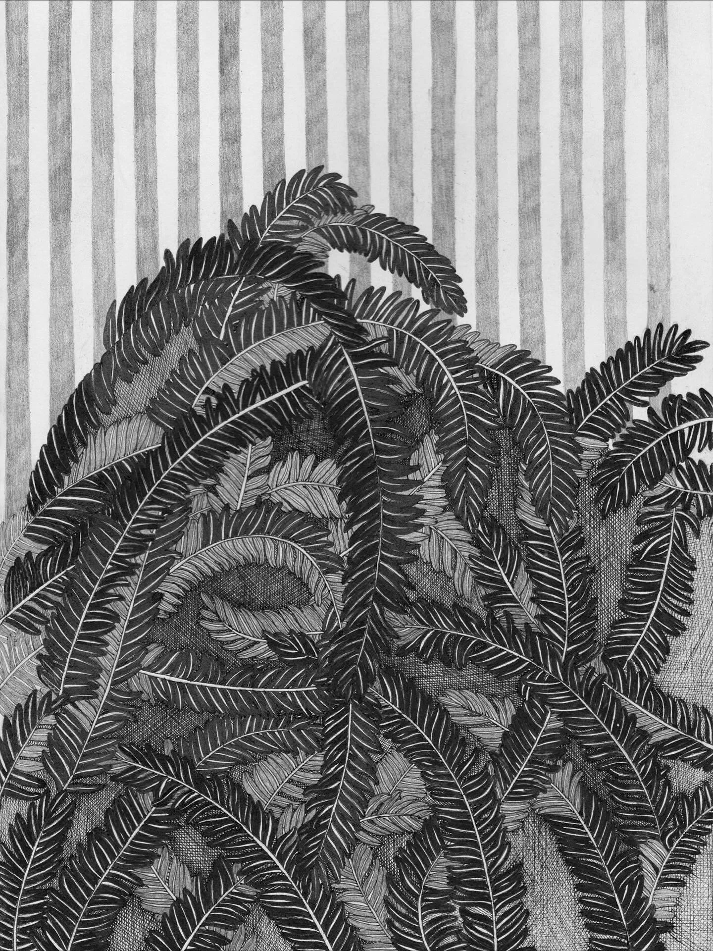 Ferns 🌿
.
.
.
#sketchbookpage #sketchbook #inkart #inktober #micronpenart #fernleaves #fernplant