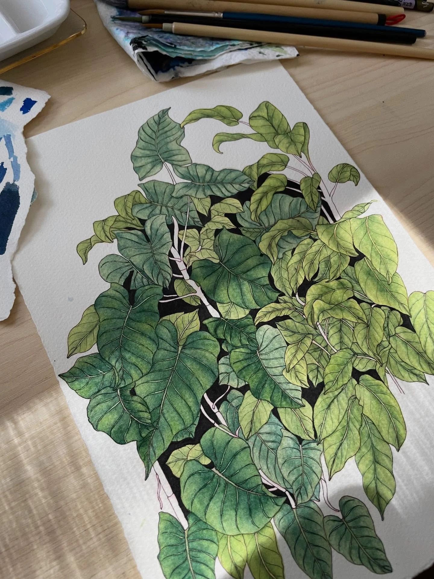 🌱
#workinprogress #leafy #botanicalartwork #watercolor