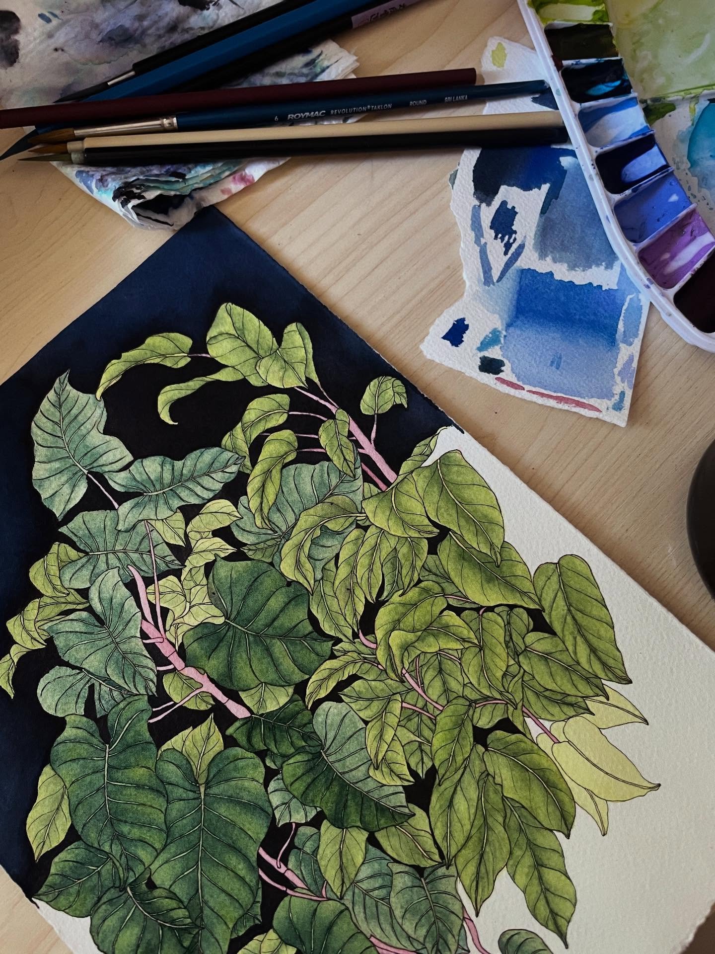 Mixing watercolour and ink had a great effect ✌🏼✨😌
#inkandwatercolor #lamyink #botanicalwatercolors