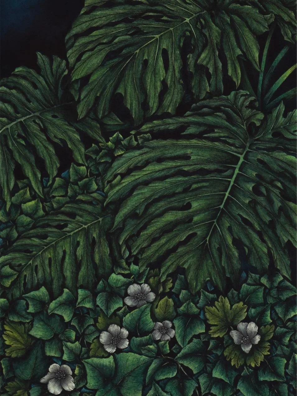 Leaf Song
Watercolours and ink on watercolour paper
'Quiet Forest' Series
🌳
🌳
🌳
Available for purchase via @offthekerbgallery 
🌳Art Catalogue link is in the bio #watercolourart #botanicalart
#visualmindfulness #quietforestartseries #inkandwaterco