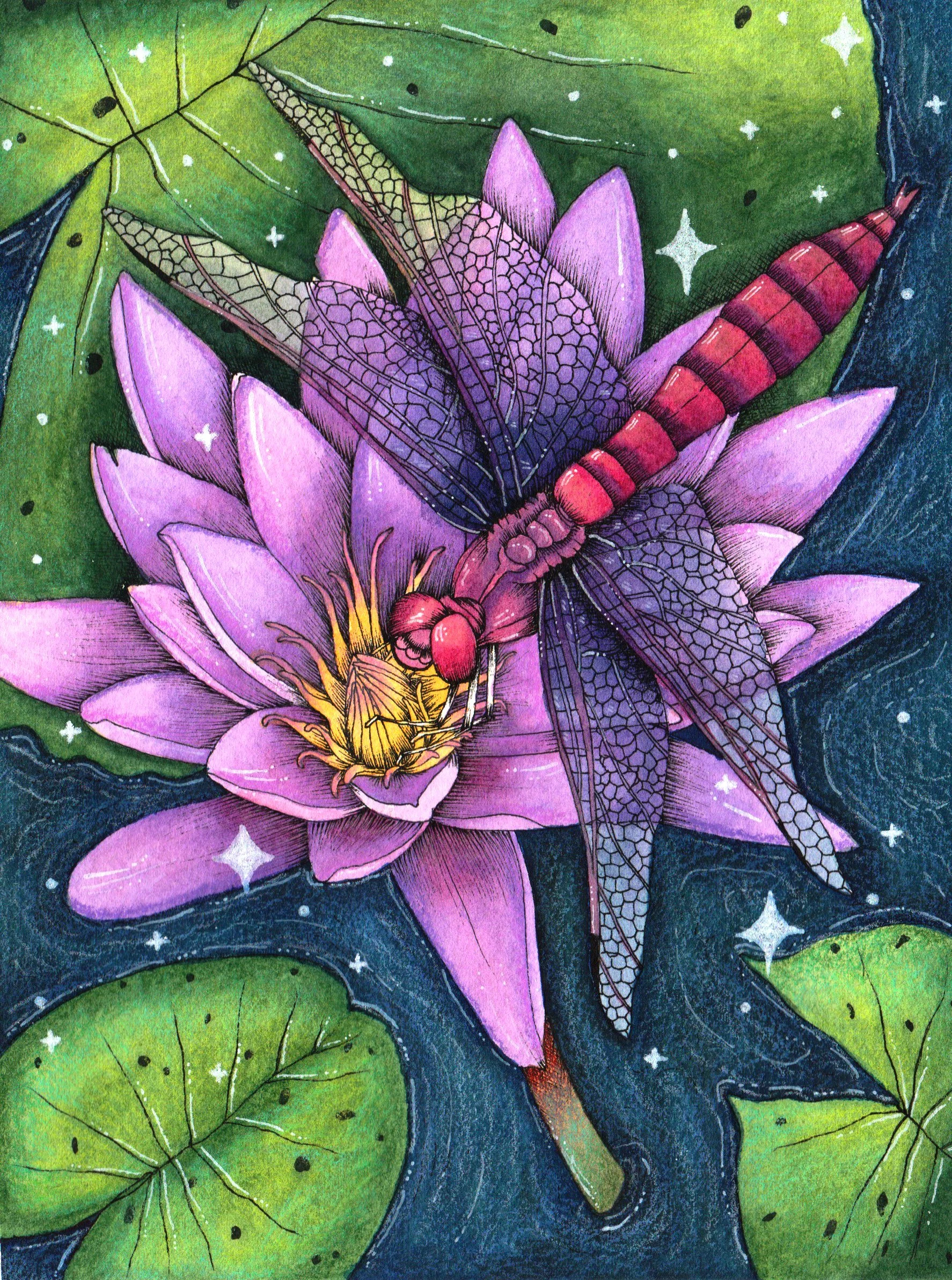 DRAGONFLY AND LOTUS.jpg