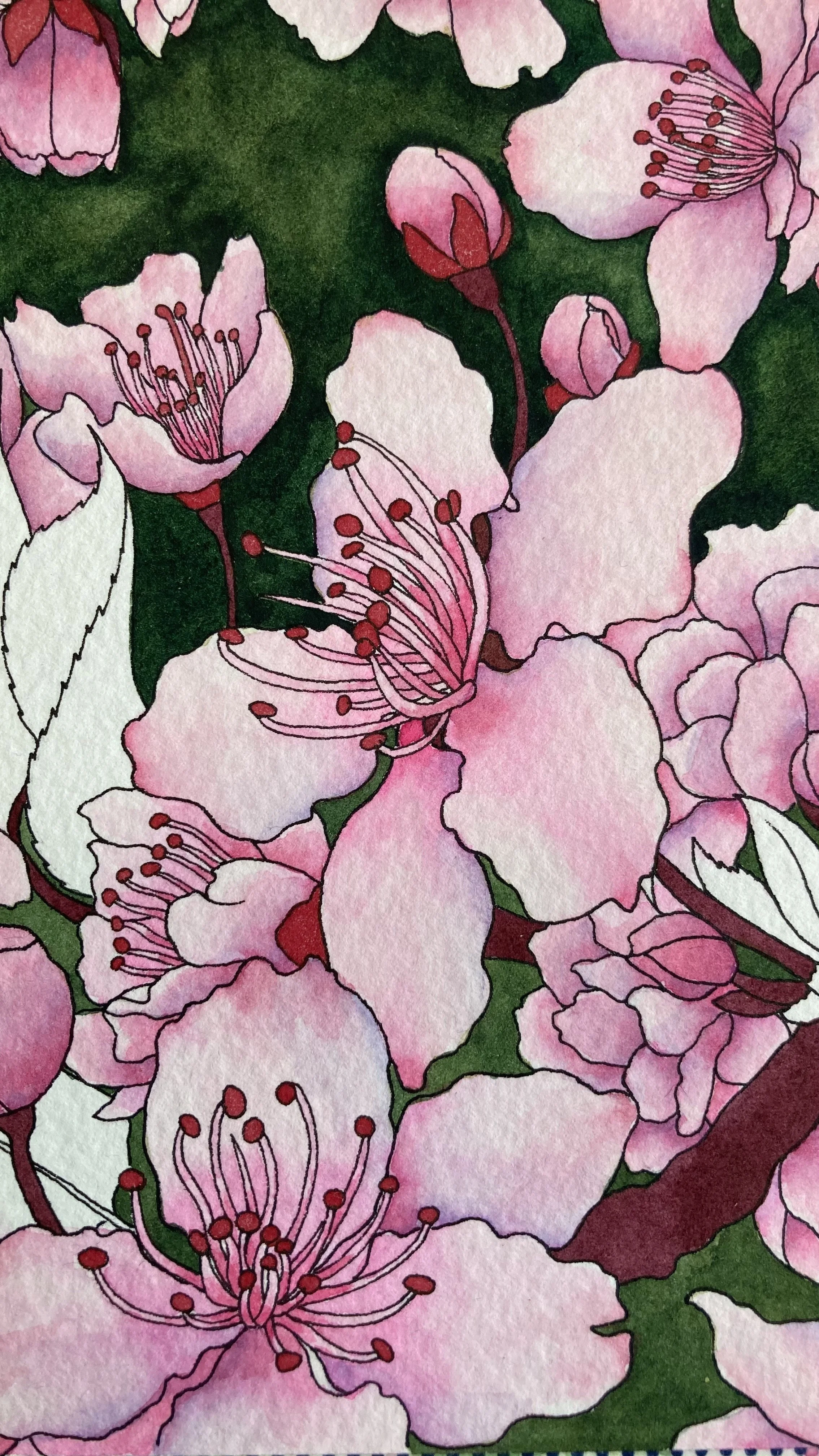IMG_2854.JPG