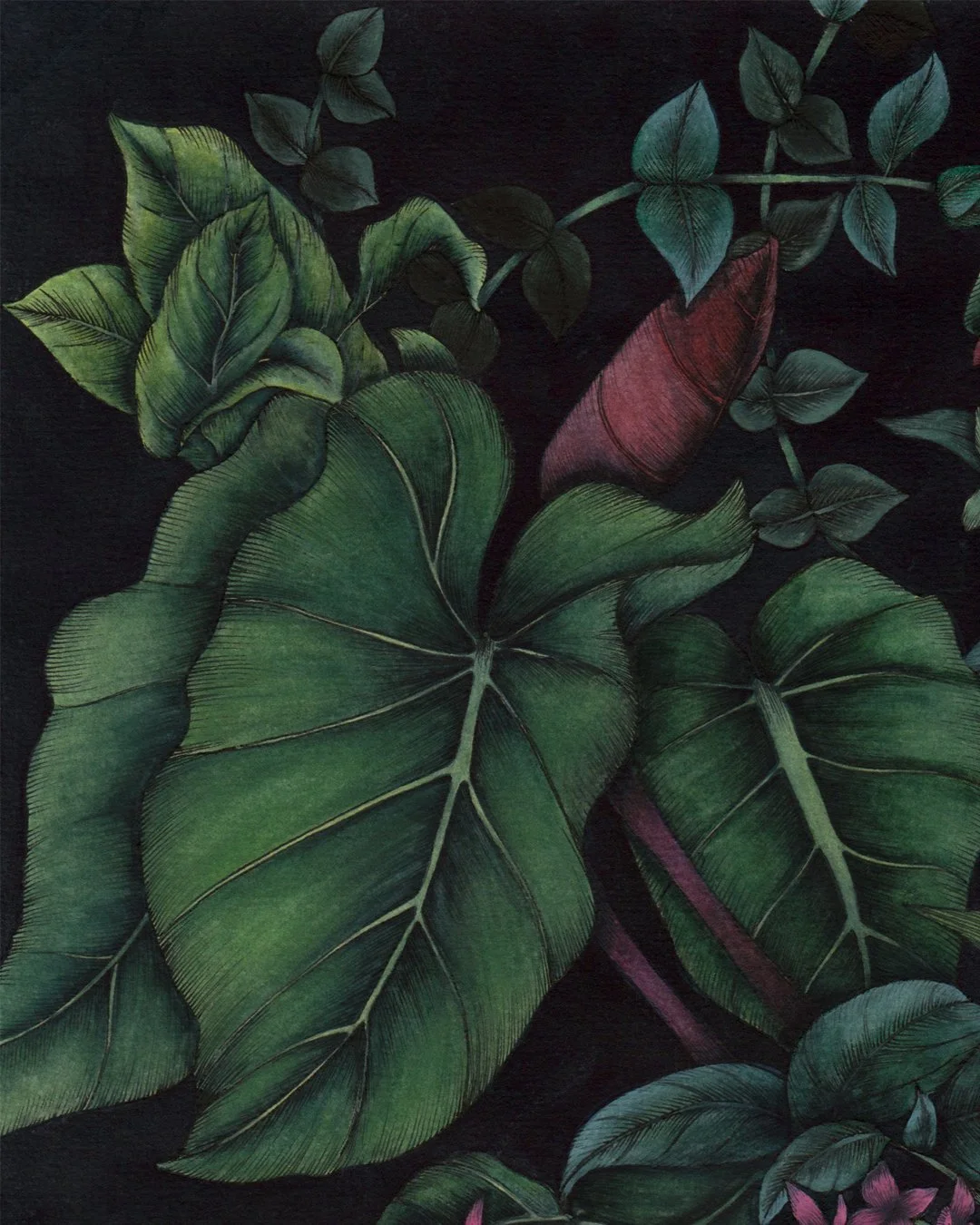 LUSH 1 -1.jpg