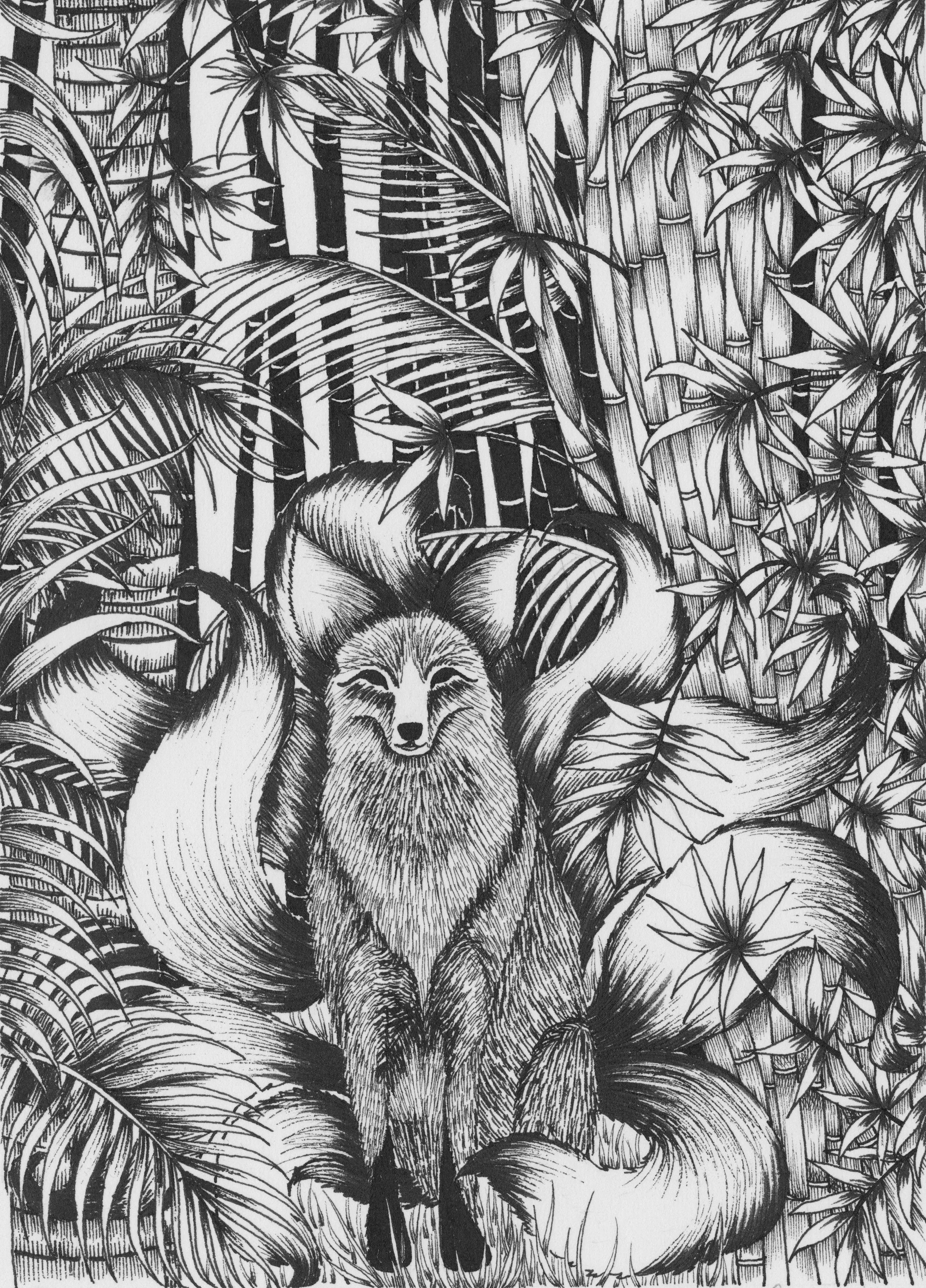 FOX ILLUSTRATION HI RES.jpg