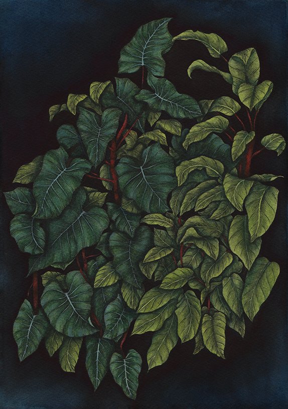 SHADOWS BETWEEN LEAVES.jpg