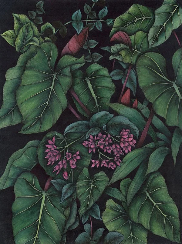 LUSH 1.jpg