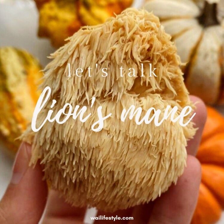 Let’s Talk Lion’s Mane