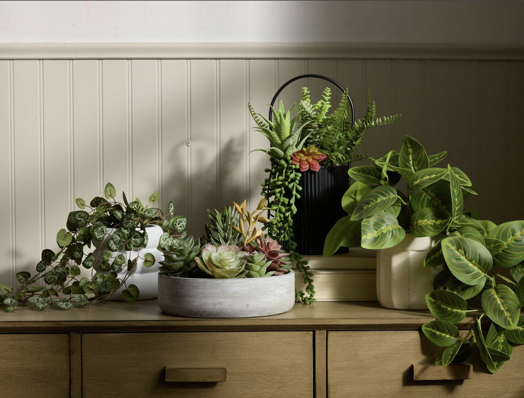 Screenshot 2026-02-21 at 9.01.58 AM.png