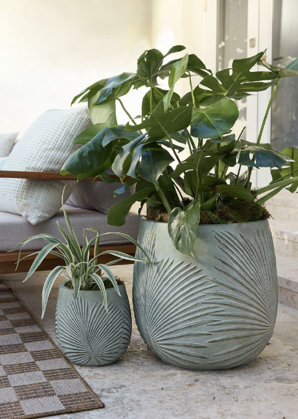 Screenshot 2026-02-21 at 8.58.50 AM.png