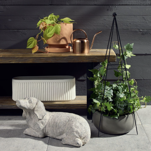 Screenshot 2026-02-21 at 9.02.30 AM.png