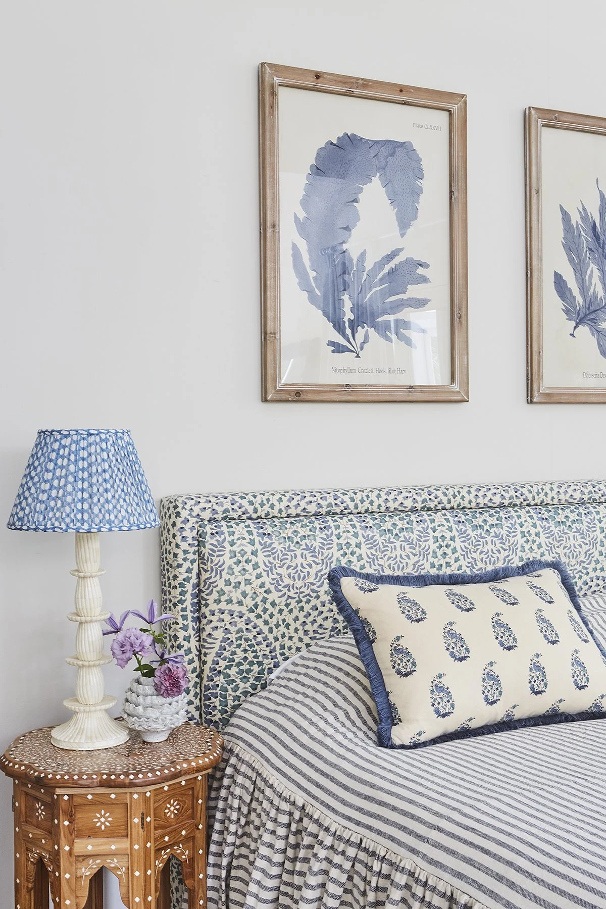 Chloe 24 Oct 2025 Ridley PArk21928.jpg