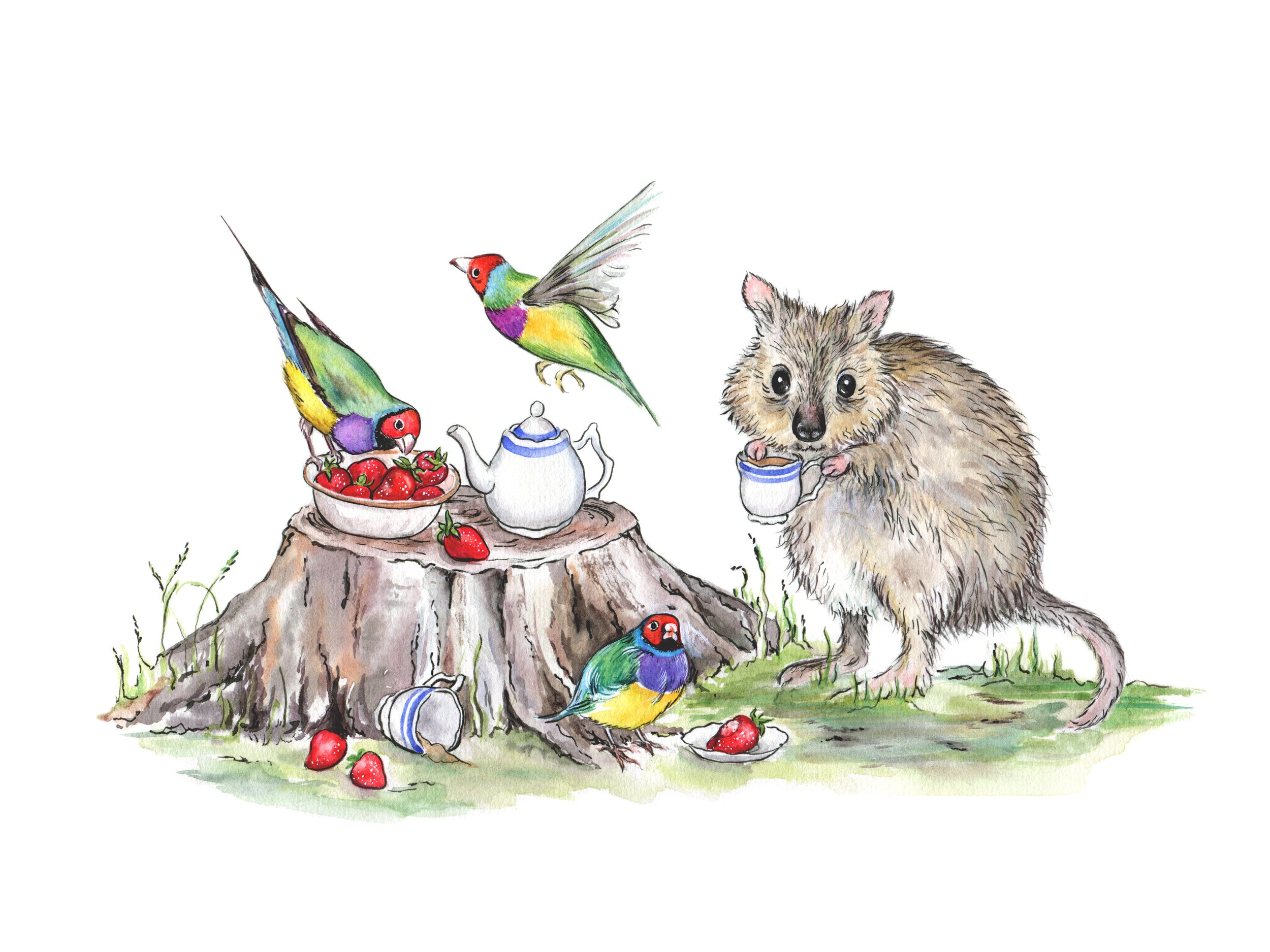 Etsy The Tea Party Northern Bettong and Gouldian Finches copy.jpg