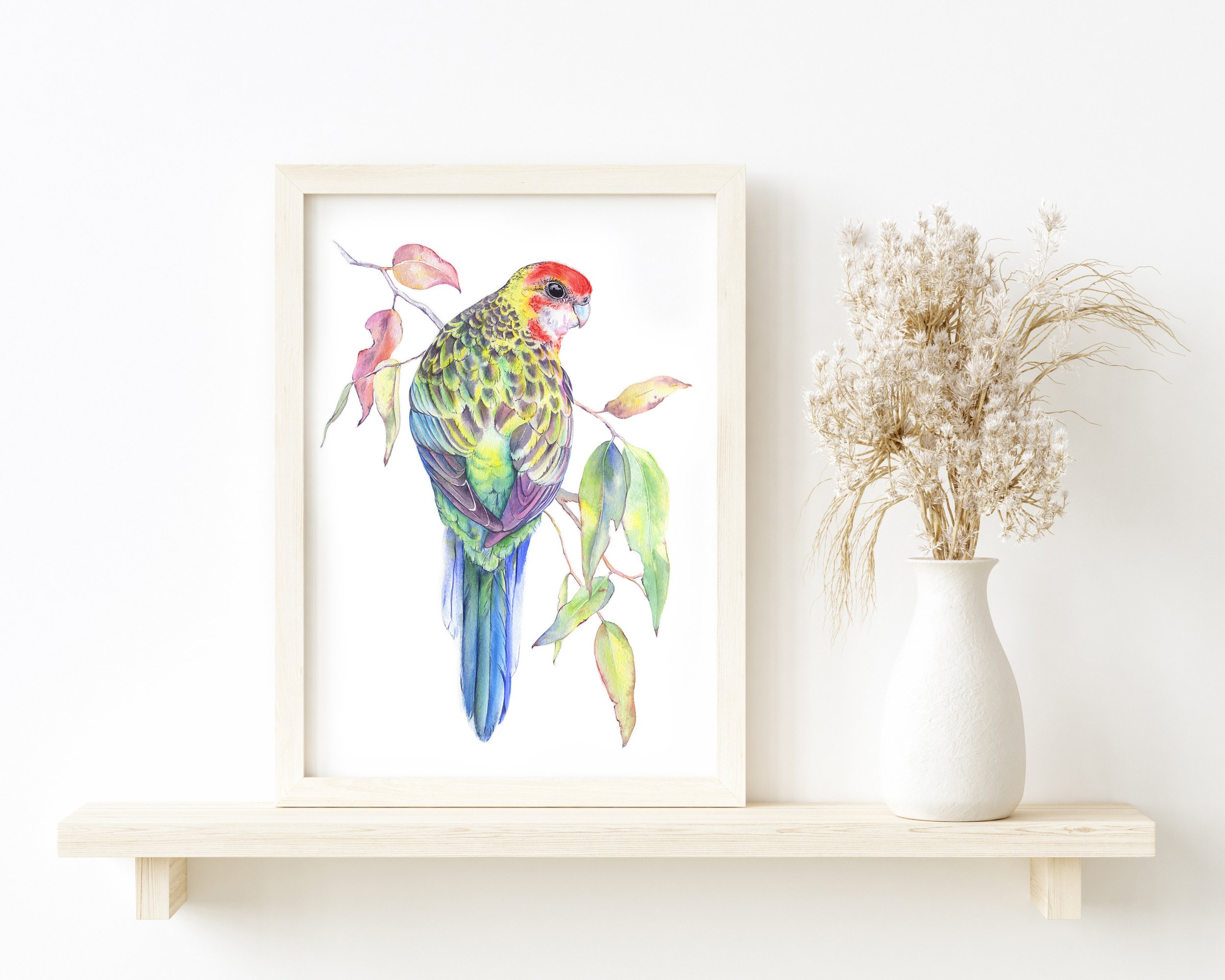 eastern rosella A4 etsy.jpg