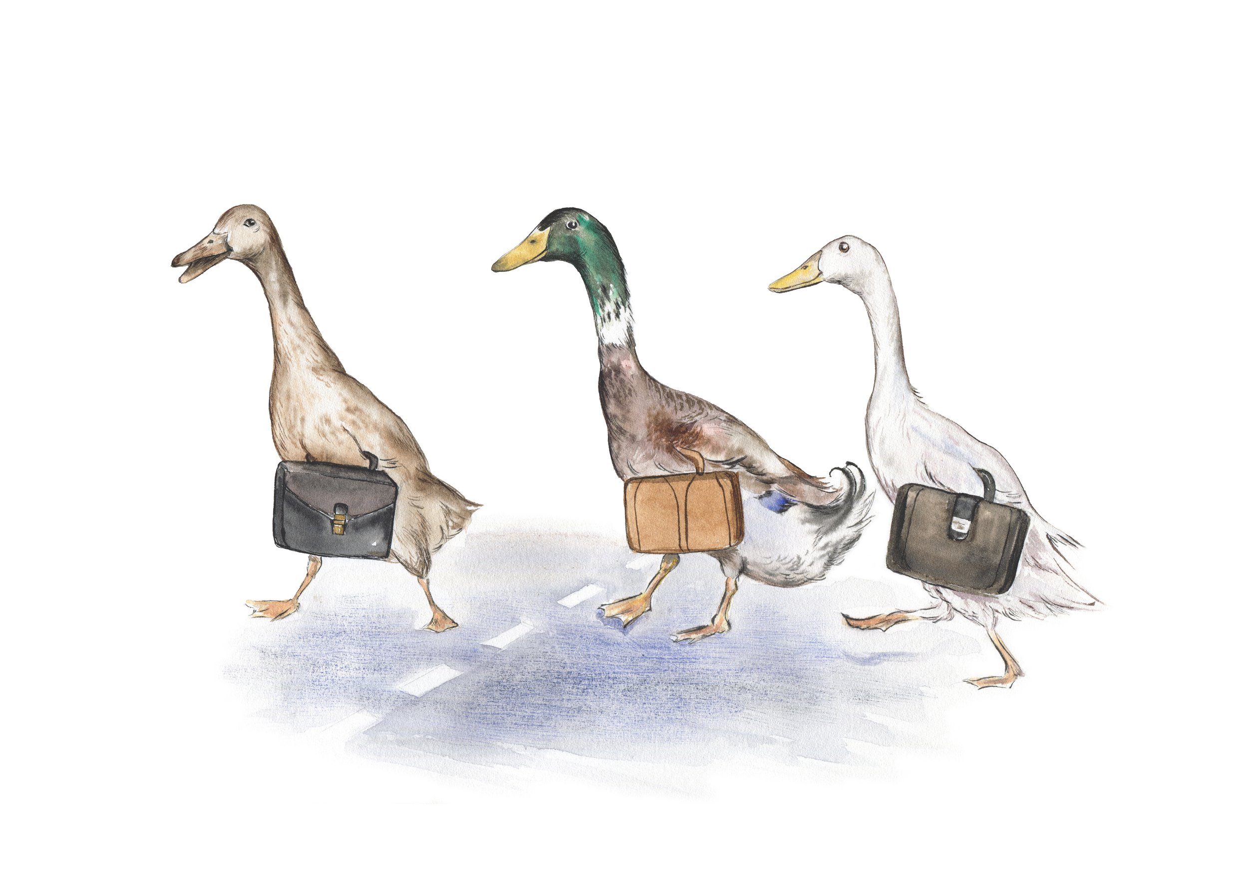 A4 Peak Hour copy.jpg