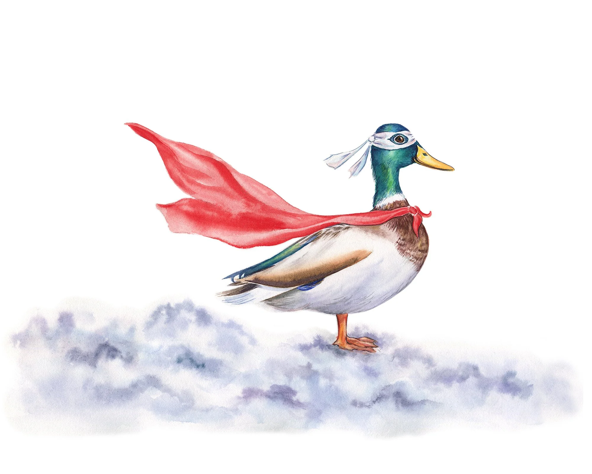 Etsy Super duck 1 copy.jpg