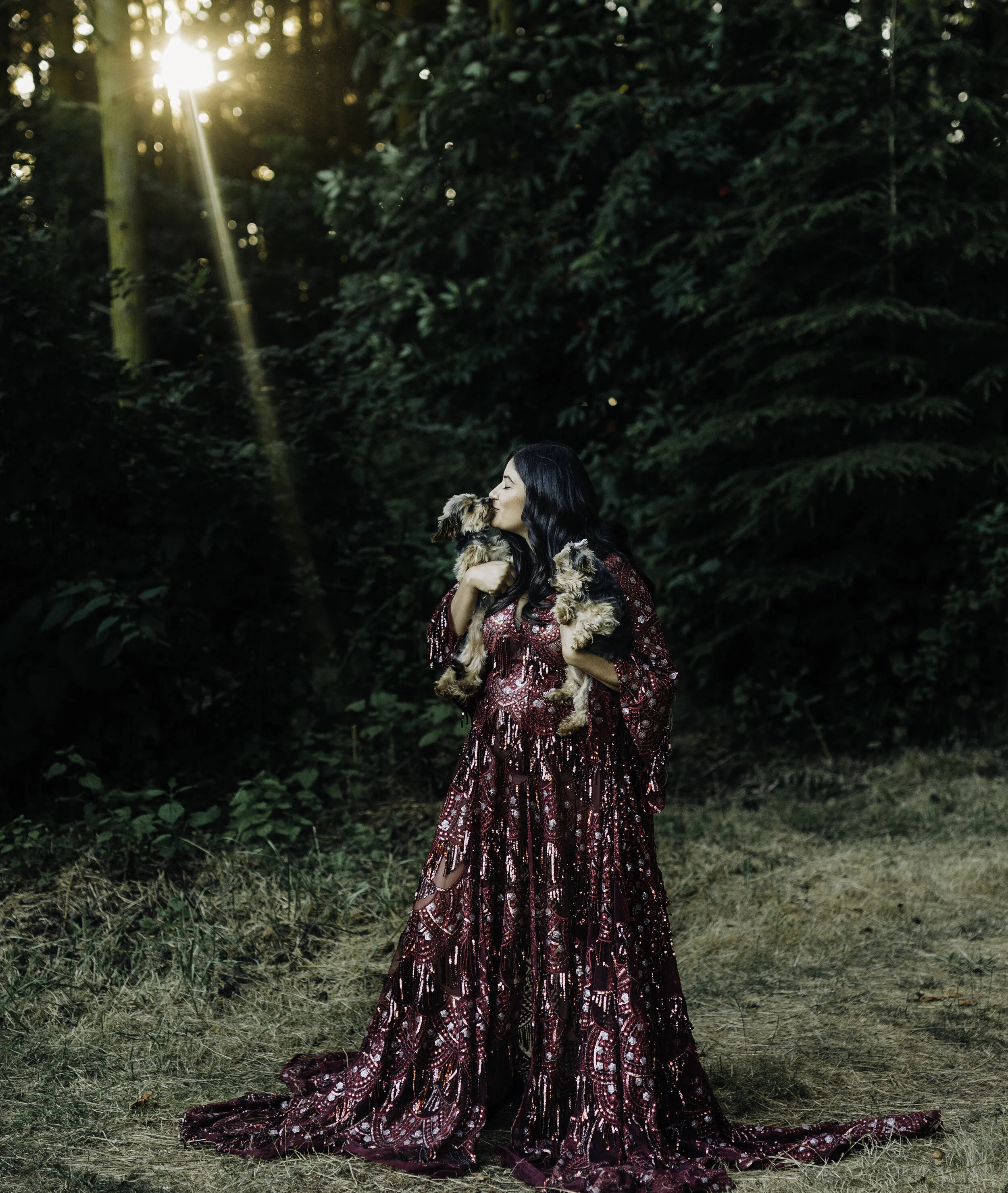 Professional maternity portrait of a pregnant woman wearing a fancy red dress holding two puppies and kissing them in the middle of the woods with the sunshine peaking through the back of the trees somewhere in Whidbey Island WA