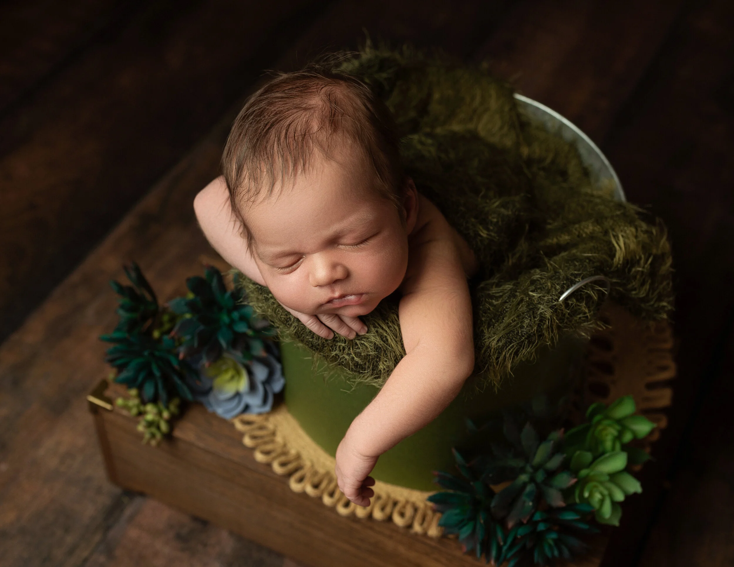 newborn in studio portrait of a baby posed in a green bucket surrounded with succulents