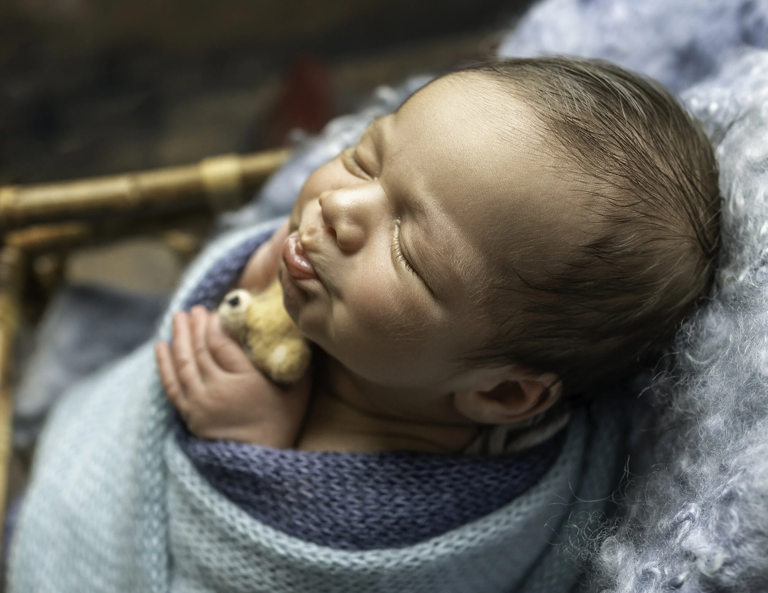 Whidbey Island Newborn session