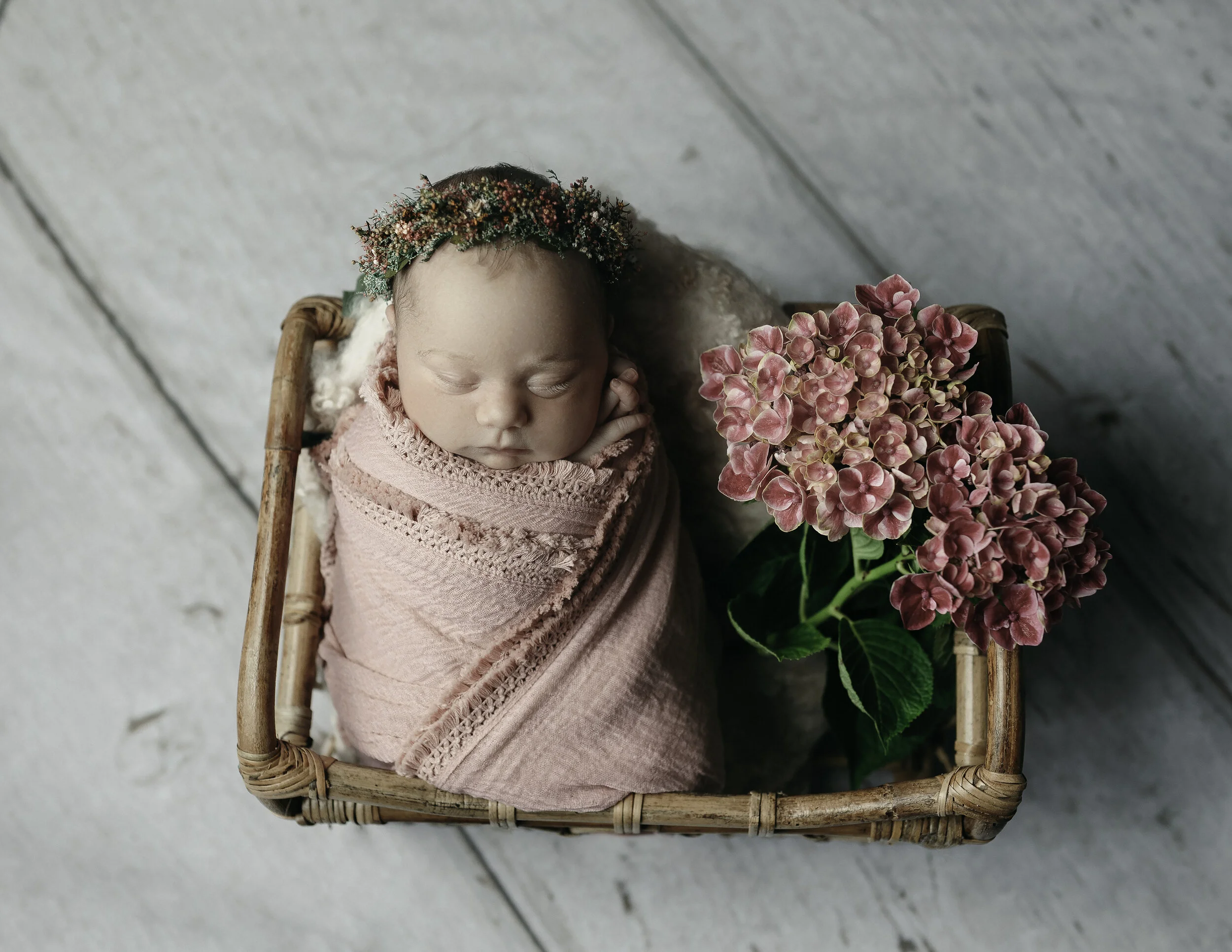 Anacortes &amp; Whidbey Island Newborn Photographer | Posed newborn in-studio session
