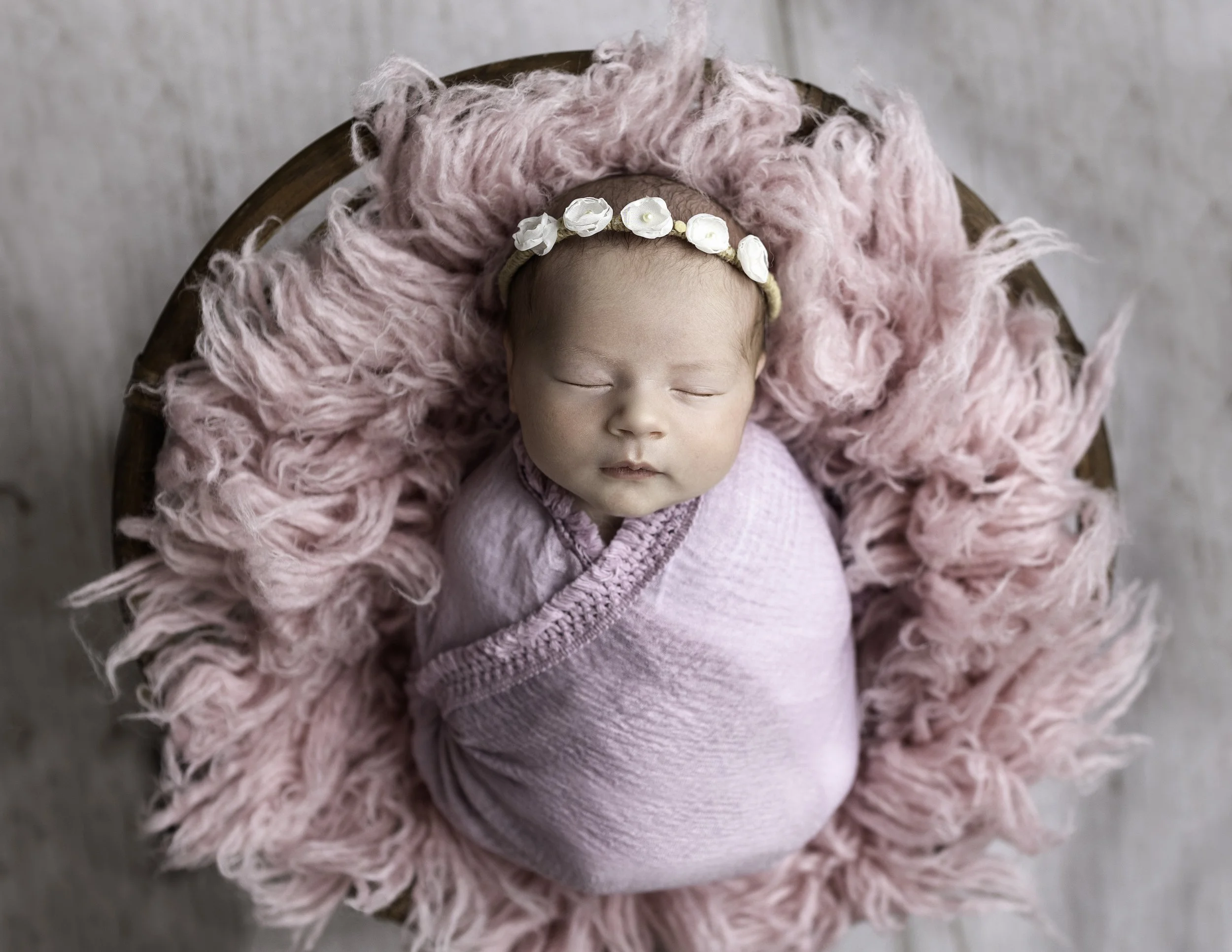 Newborn Professional Portrait of a baby posed in a basket with pink fur taken in Anacortes WA