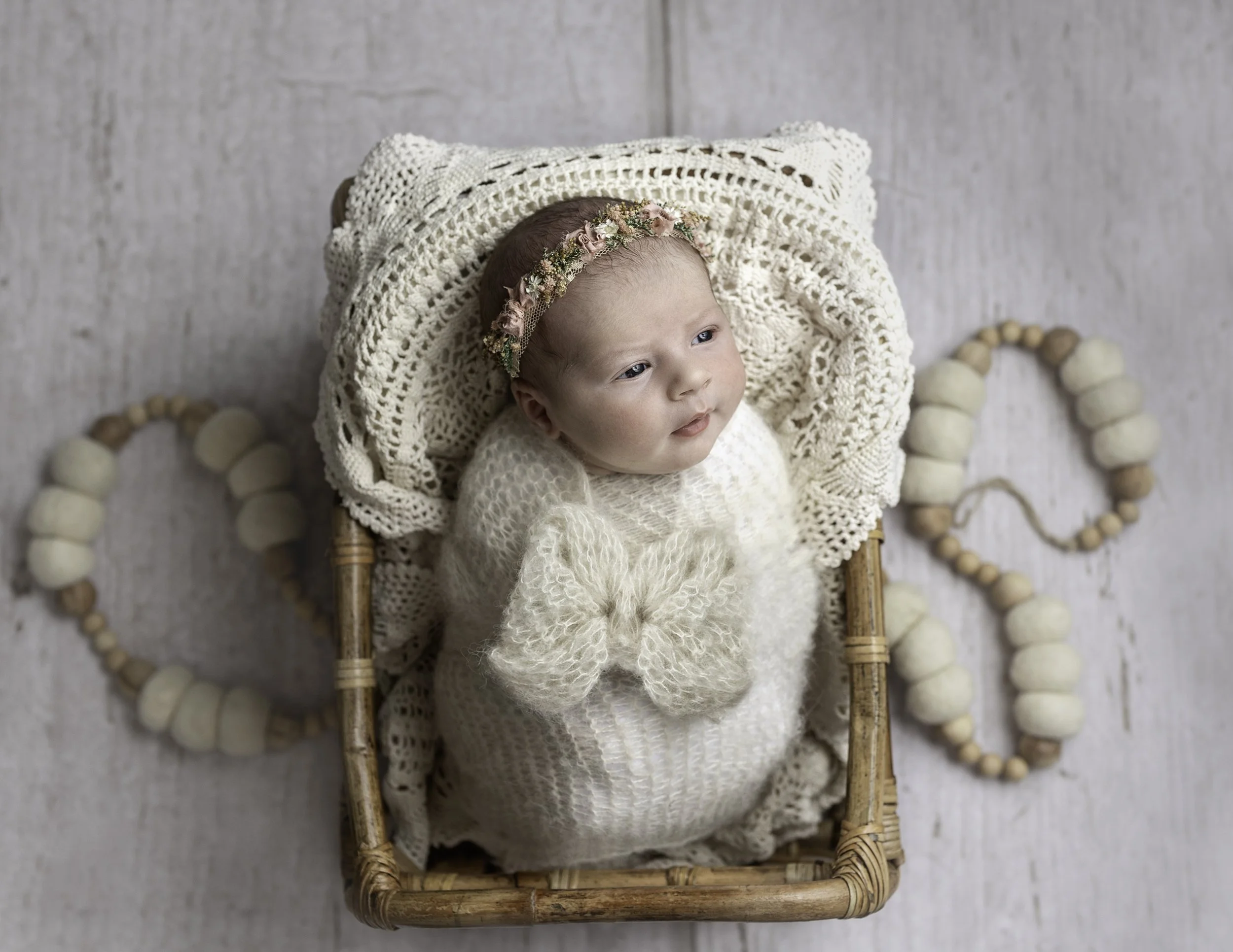 newborn portrait of a girl in a basket taken in whidbey island WA