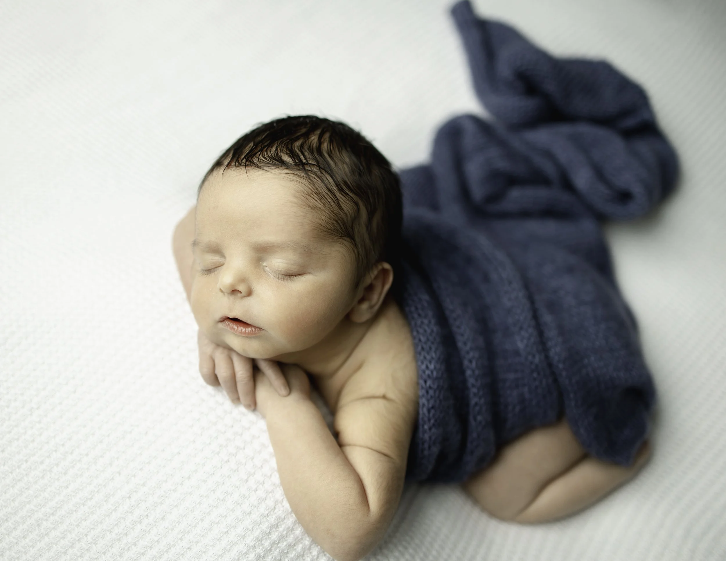 Portrait of a newborn posed on a white backdrop with a blue wrap around him