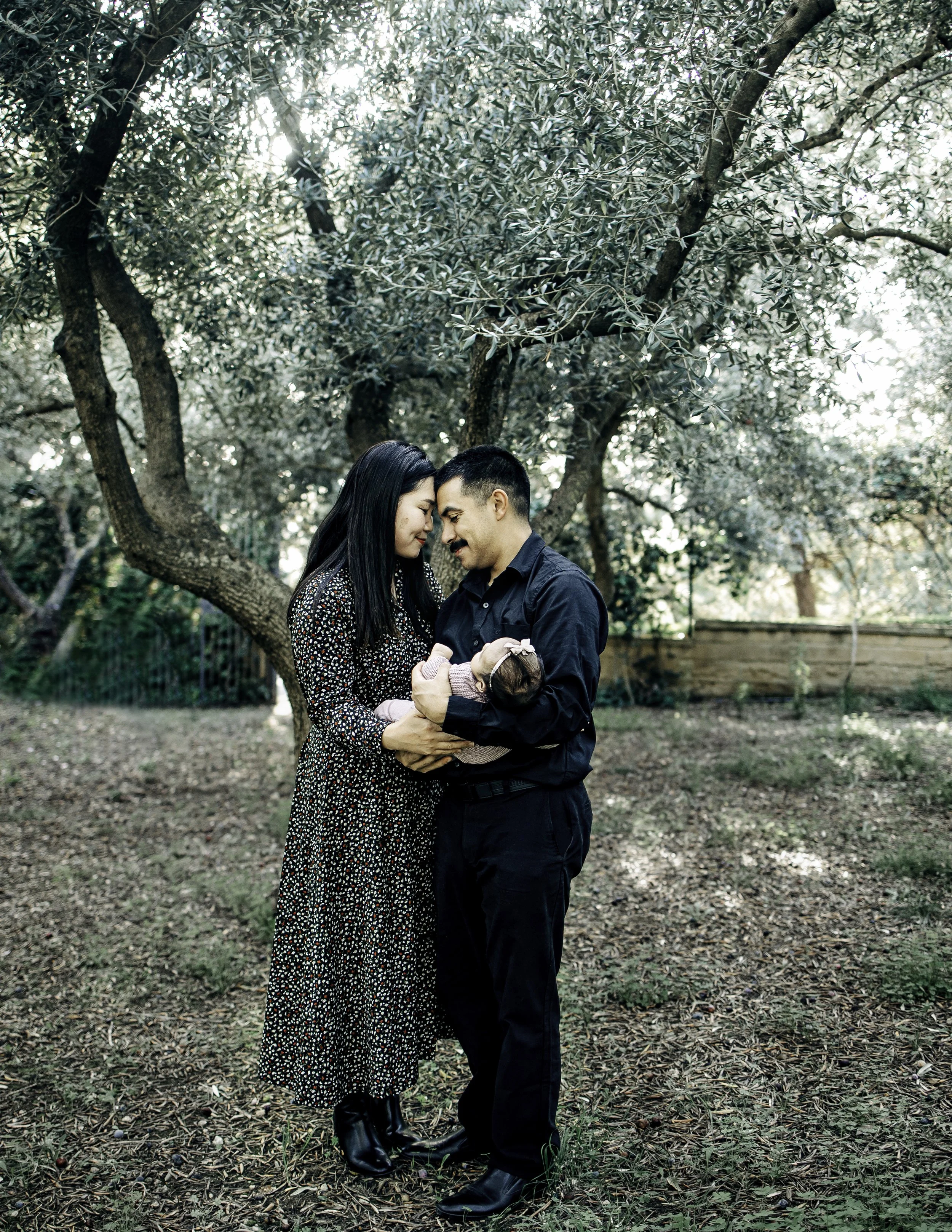 Family Portrait in an Olive Grove in Sicily, Italy