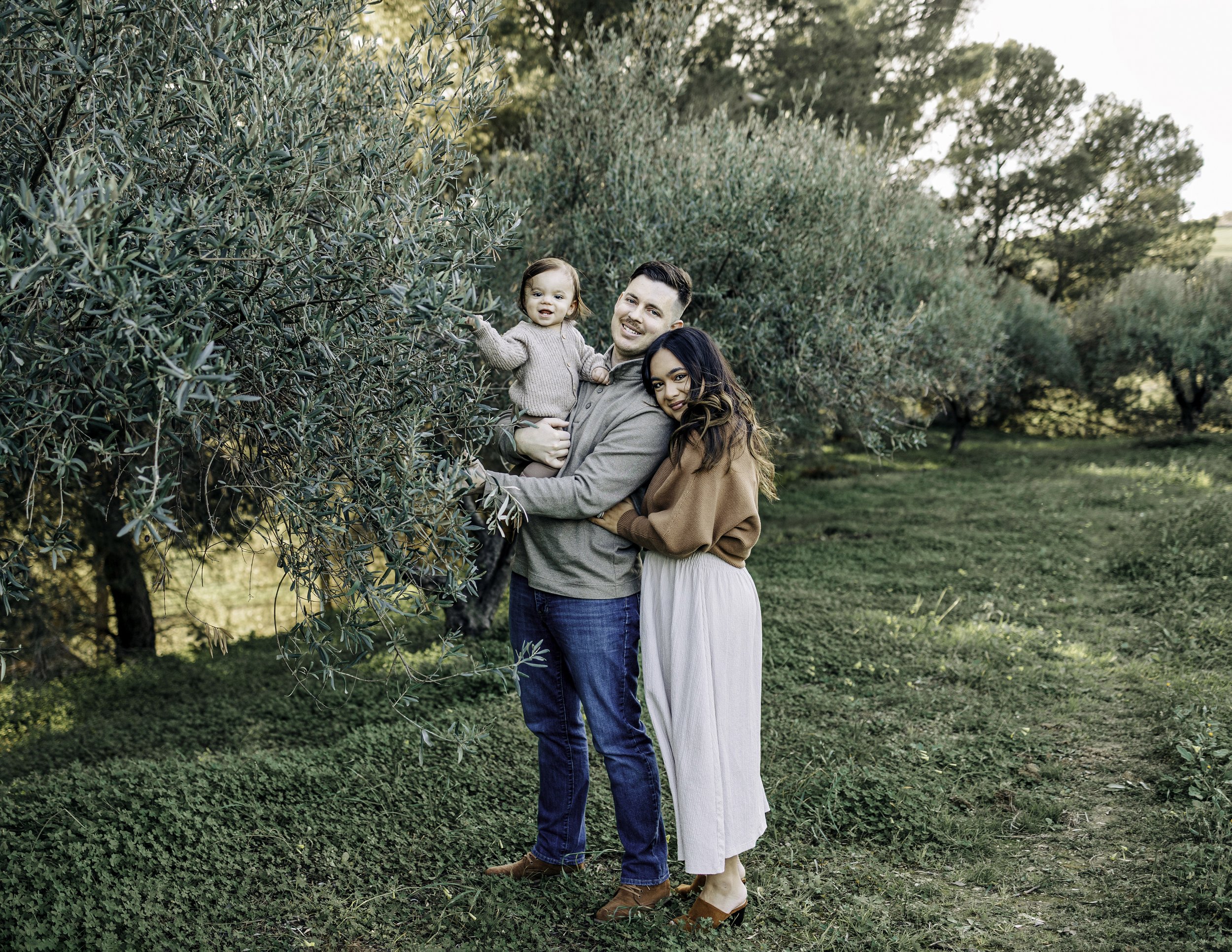 Family Photoshoot in Sicily Italy with Olive trees