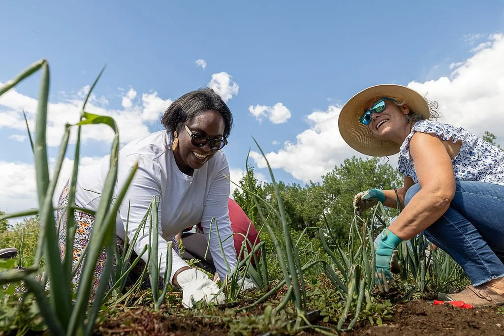 CompassMontessori-Farm-39.jpg