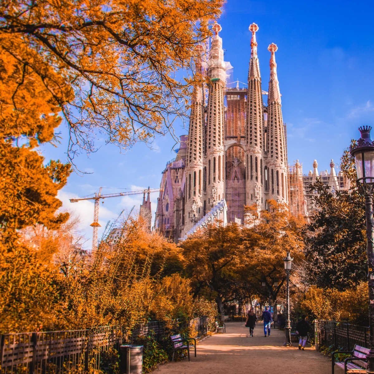 Basilica-of-the-Sagrada-Familia-in-Barcelona-__Spain-2.jpg