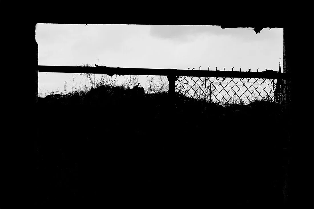 1_DSC4388.jpg