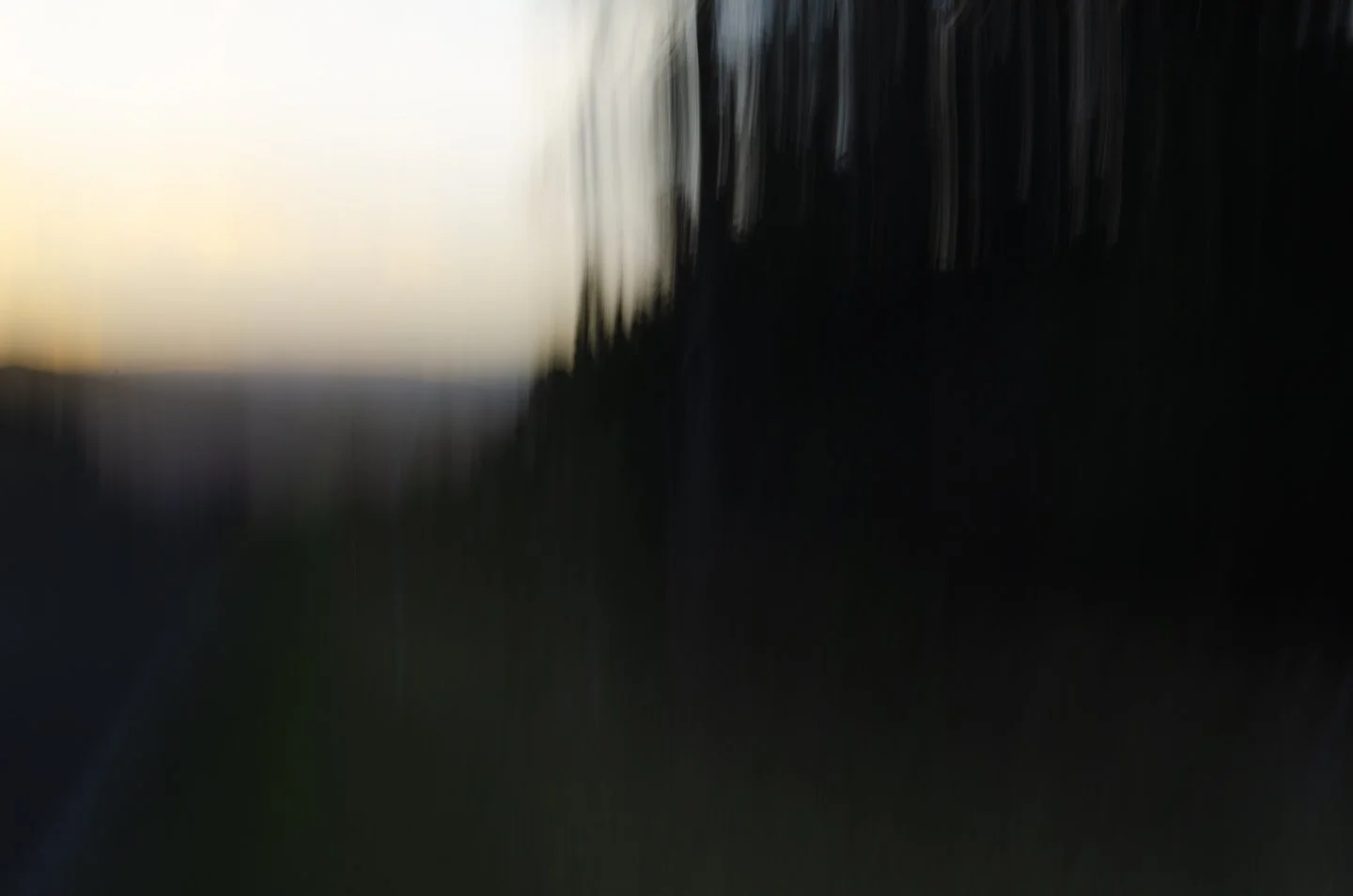 _DSC7793.jpg