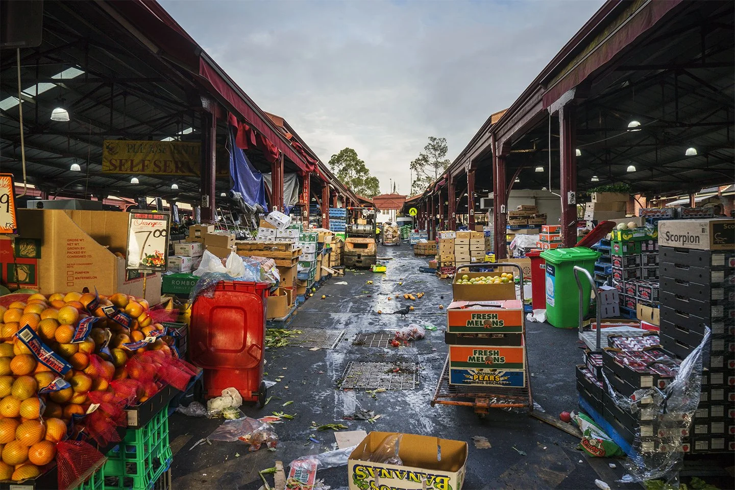 M_DSC9366.jpg