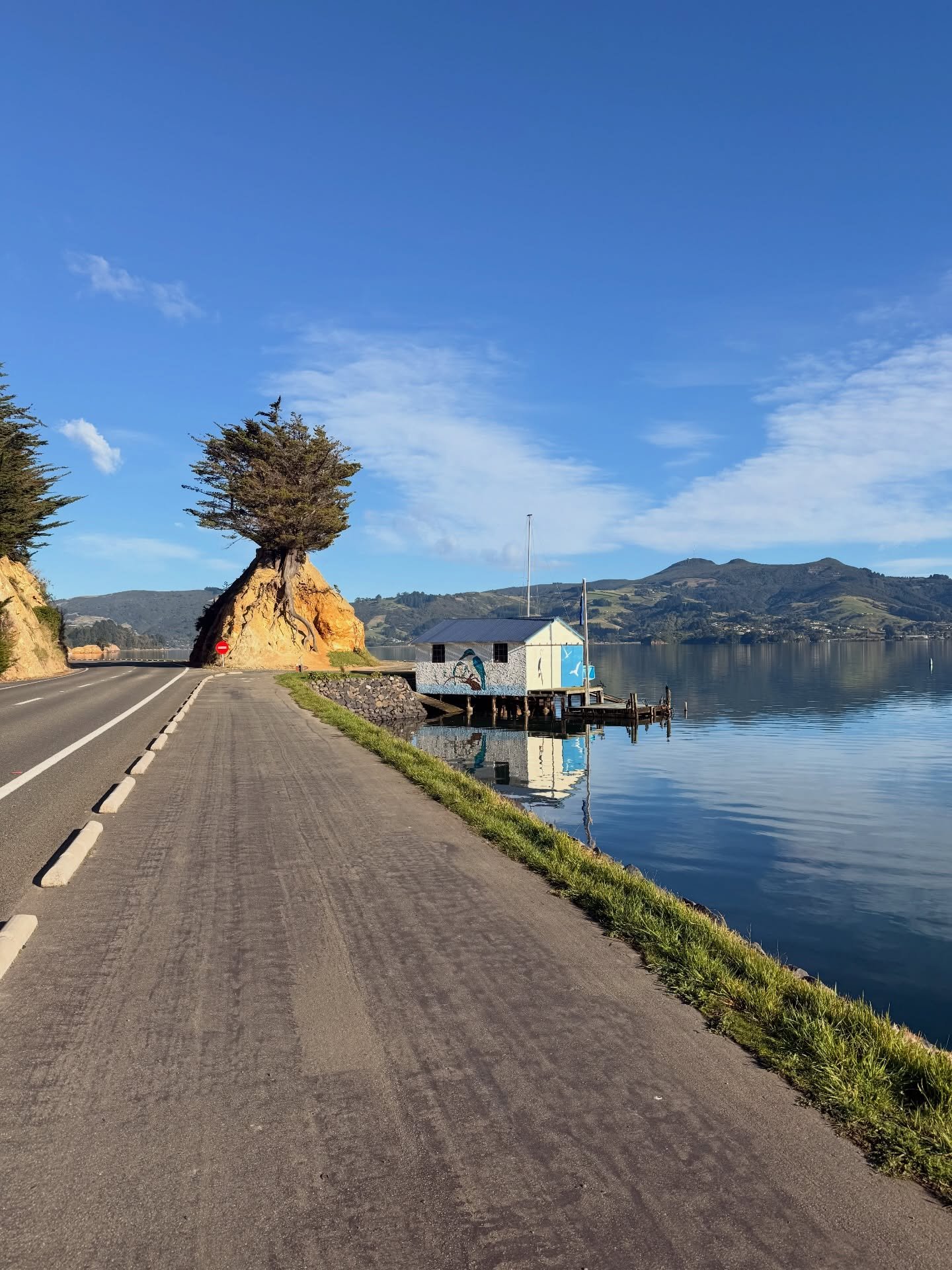 Good morning! The forecast is looking absolutely lush today🌞 Who&rsquo;s heading out to Portobello?

Hooper&rsquo;s Inlet is well worth the trip right now, with sea lions around. Once you&rsquo;ve finished exploring our stunning backyard, make sure 