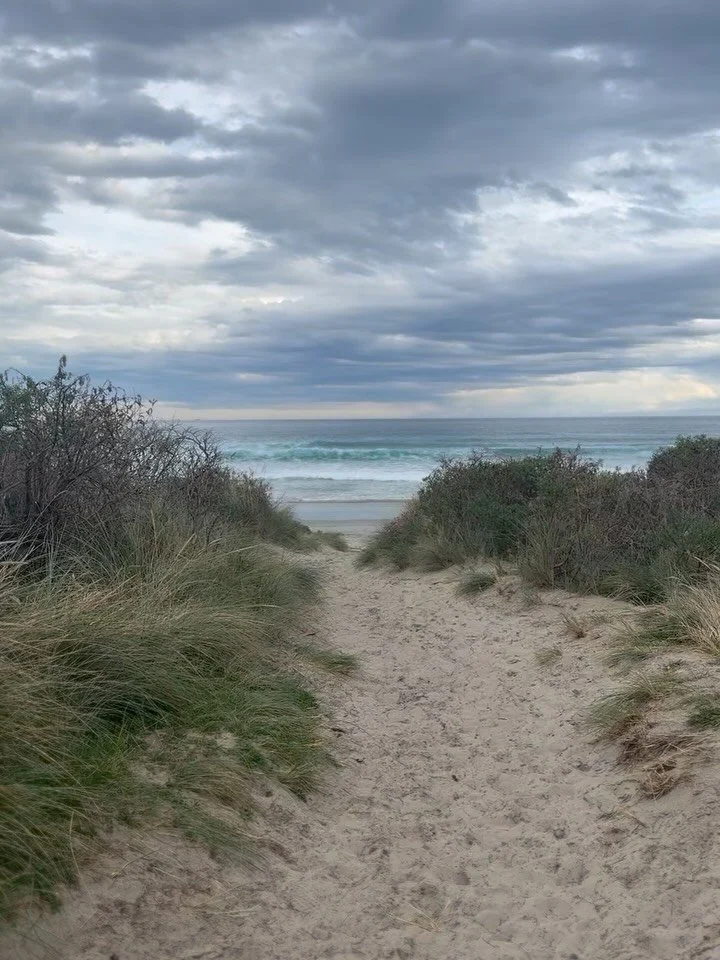 Happy Saturday ☀️

You all weren&rsquo;t wrong about how good it was out there today , some of you even spotted dolphins in the harbour 🐬 So I took Otto for a quick trip out to our favourite local beach Allan&rsquo;s Beach (just 10 minutes from Augu