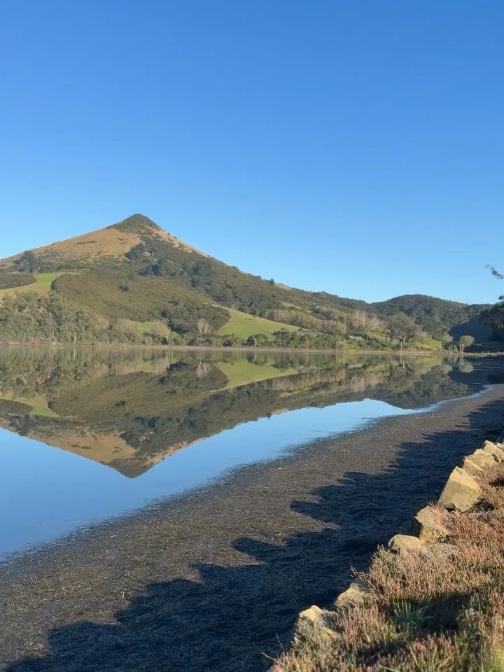 What a #dunnerstunner ☀️: stunning views, and a perfect excuse for a Sunday drive 🚗

If you&rsquo;re heading out to the Otago Peninsula tomorrow, here&rsquo;s what&rsquo;s waiting for you:

&bull; Still waters at Hoopers Inlet with dreamy reflection