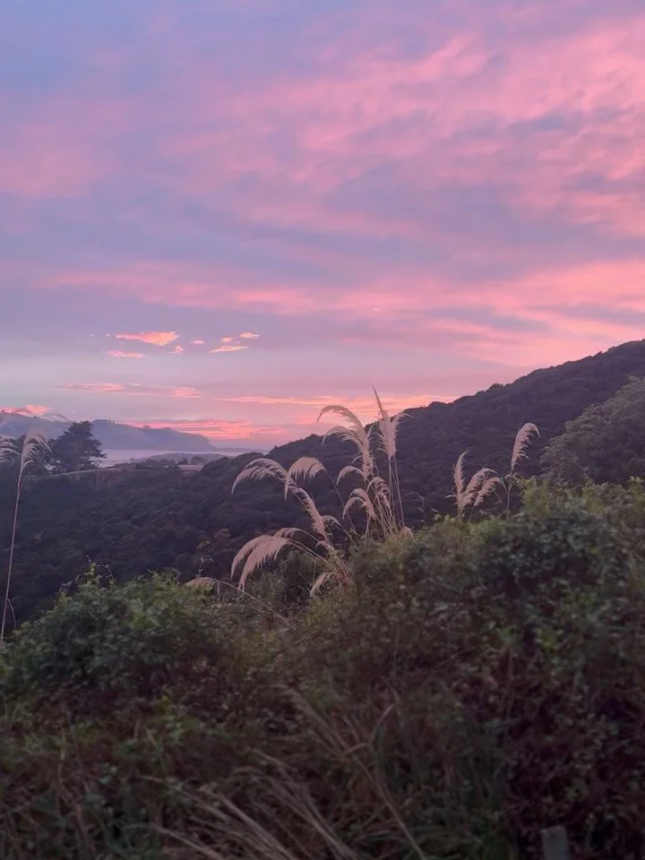 Another weekend in paradise 🌳💕

Beautiful sunrises. 
Kererū in the garden. 
Fruit danishes enjoyed on a morning stroll. 
Fresh flowers on the tables, picked by our gardener &amp; florist, Jeannie. Sandwiches, made to order - that&rsquo;s how fresh 