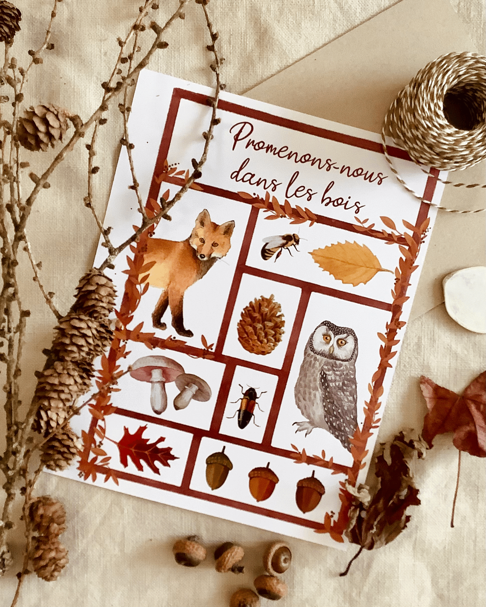 Cahier Nature Promenons-nous dans les bois