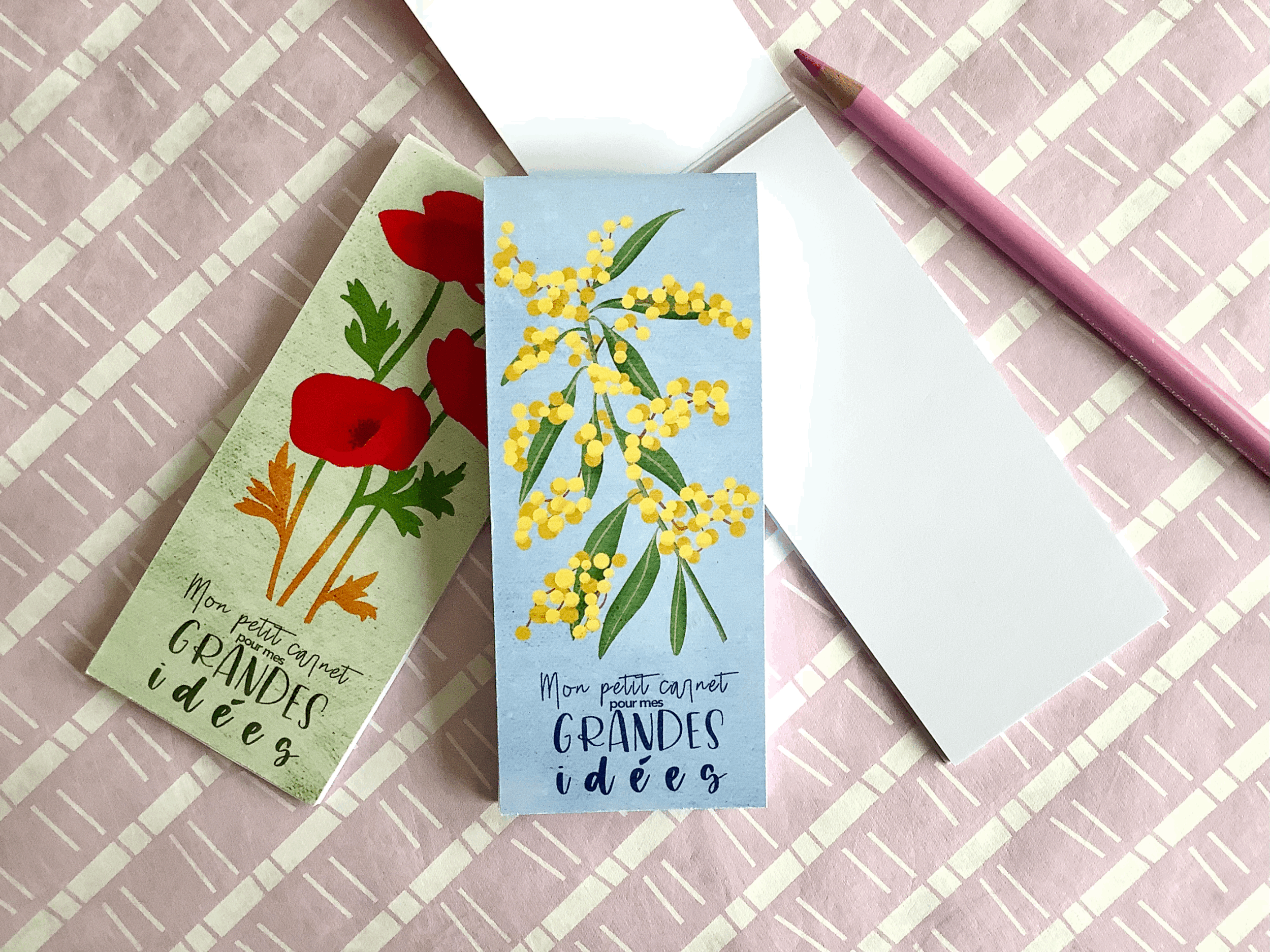 Mon Petit Carnet
Mimosa