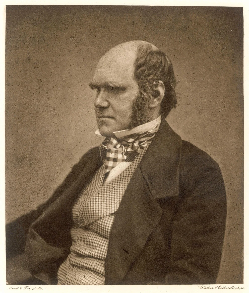 Charles Darwin, most famous for developing a theory of evolution based on Natural Selection. Wikipedia
