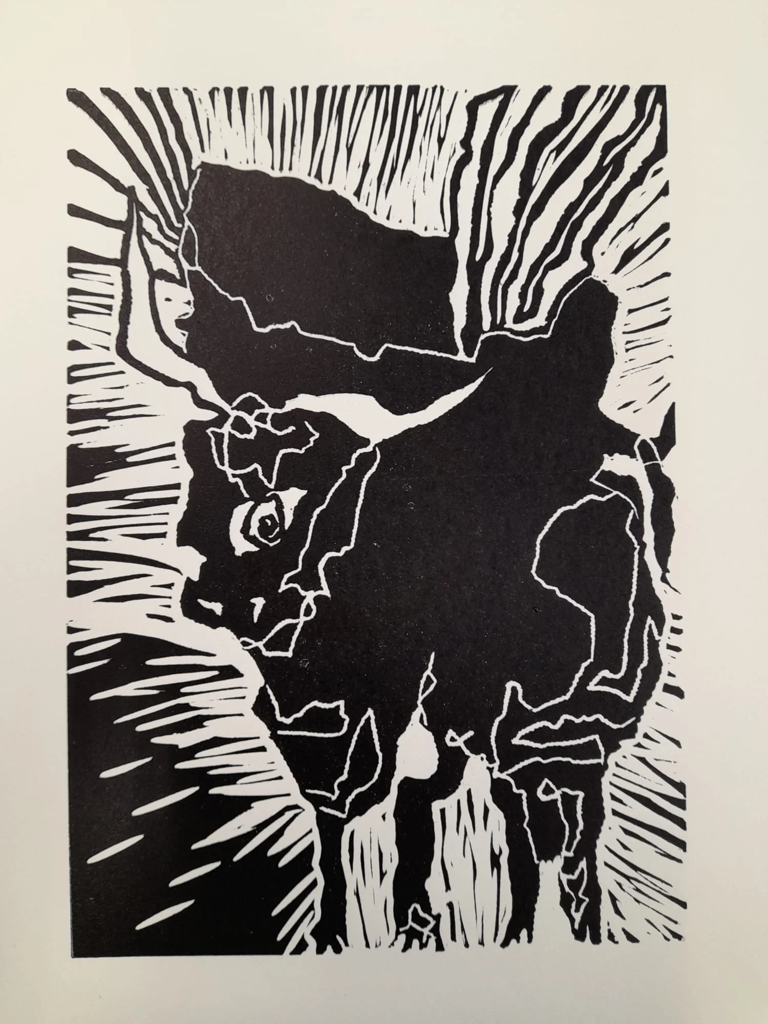 WhatsApp Image 2024-08-16 at 13.51.43.jpeg