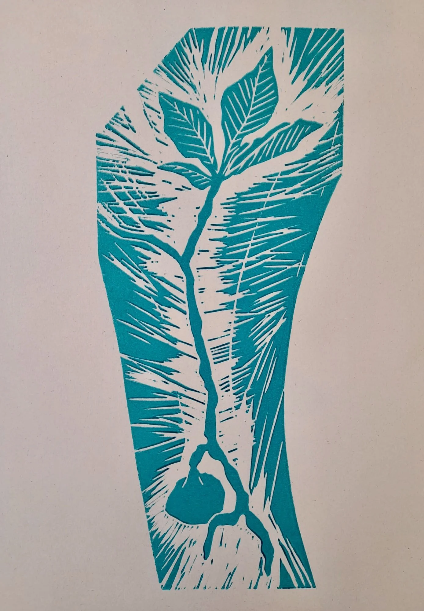 WhatsApp Image 2026-04-08 at 12.27.59-2 (1).jpeg