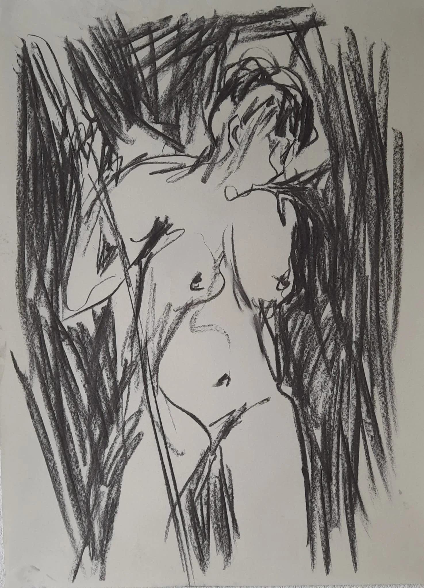 WhatsApp Image 2024-12-17 at 08.28.02.jpeg