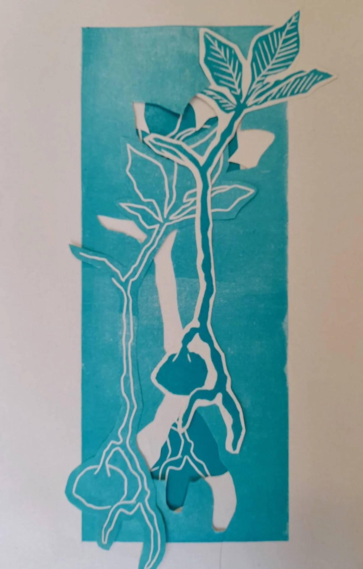 WhatsApp Image 2026-04-08 at 12.27.58 (1).jpeg