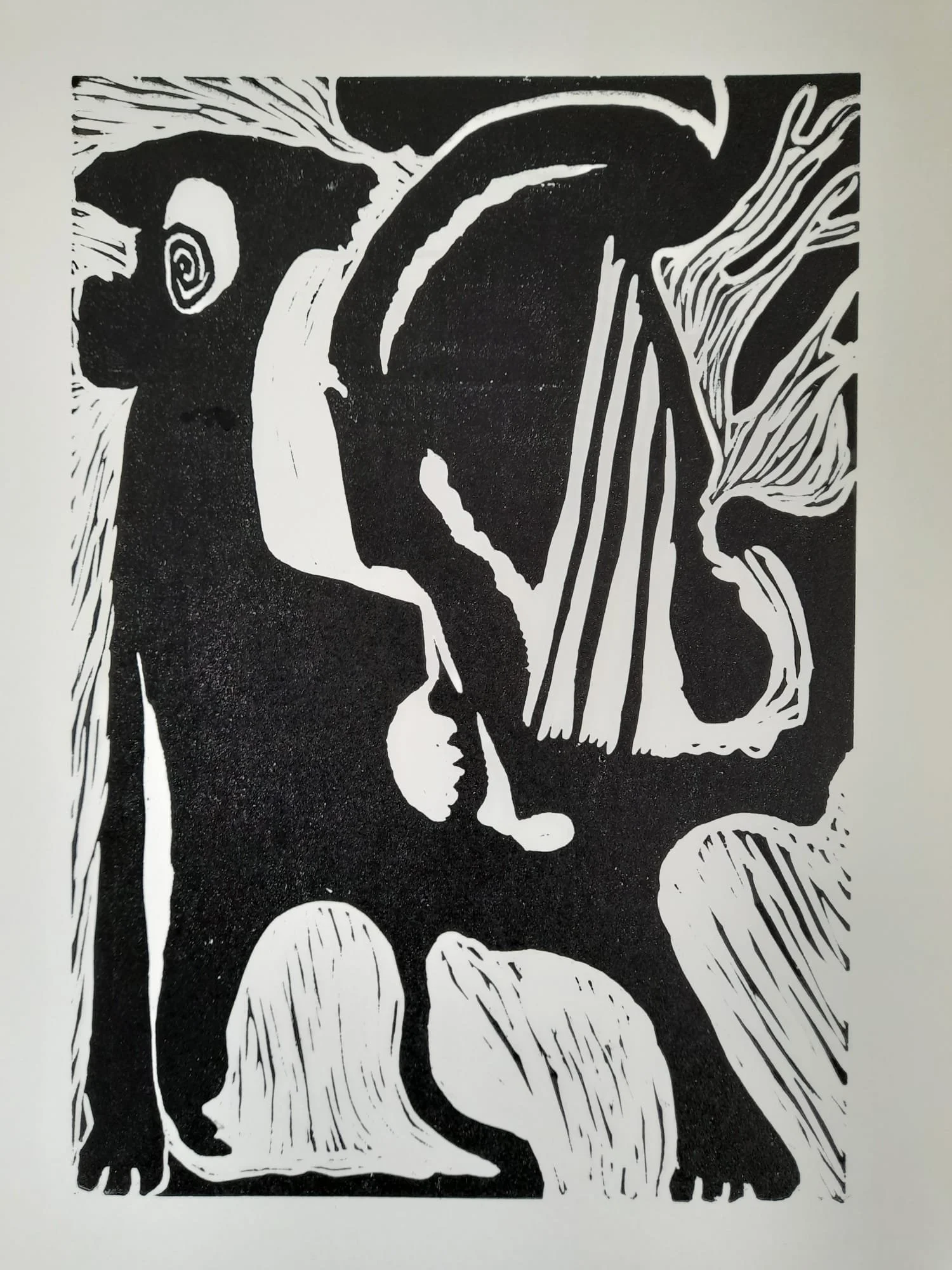 WhatsApp Image 2024-08-08 at 14.19.16.jpeg